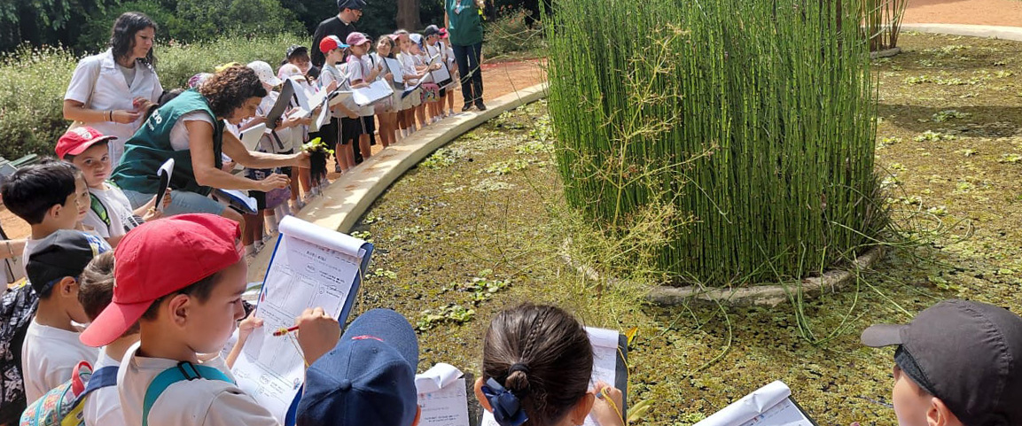 Niños en actividades al aire libre en Escuelas Pías de Canning